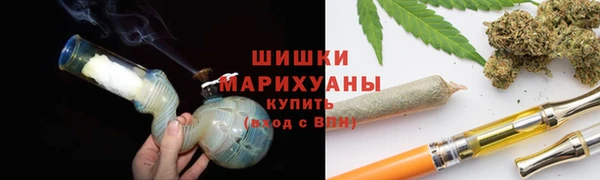прущие грибы Нягань