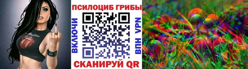 Купить закладки  Уржум  Псилоцибиновые грибы Psilocybe 